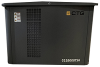 Газовый генератор CTG CG18000TSA Газовый генератор CTG CG18000TSA