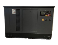 Газовый генератор CTG CG17000SA