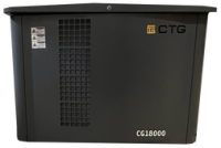 Газовый генератор CTG CG18000SA Газовый генератор CTG CG18000SA
